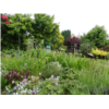 Jardin Les Rivières 1bis.JPG