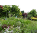 Jardin Les Rivières 1bis.JPG