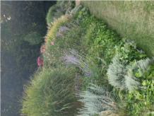 image2.jpg