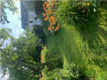 image3.jpg