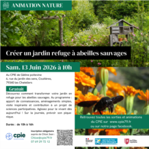 compressé ; Créer un jardin refuge à abeilles sauvages 13 juin 2026 1000.png
