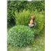 jardin3.jpg