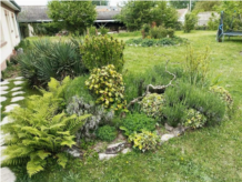 jardin 1.jpg