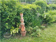 jardin 2.jpg