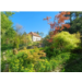 Photo2.PNG