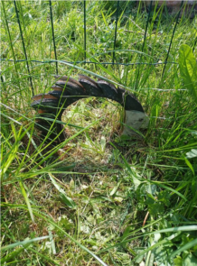 Photo2.PNG