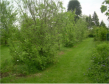 Photo2.PNG