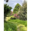 Jardin de Dieter bass déf.JPEG