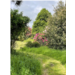 Jardin de Dieter bass déf.JPEG