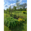 vue du jardin .jpeg