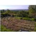 Jardin_Philippe.jpg