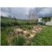 Jardin_anais1.jpg