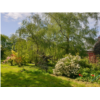 Jardin de Martine et Yves.jpg