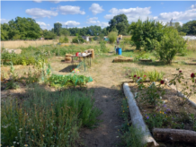 9. Les jardins partagés de la Vallée.jpg