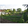 8. Le jardin de Yoann.jpg