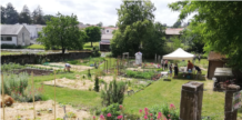 10. Les jardins partagés de la Séguinière.jpg