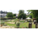 10. Les jardins partagés de la Séguinière.jpg